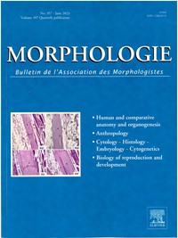 Morphologie  - Abonnement 12 mois